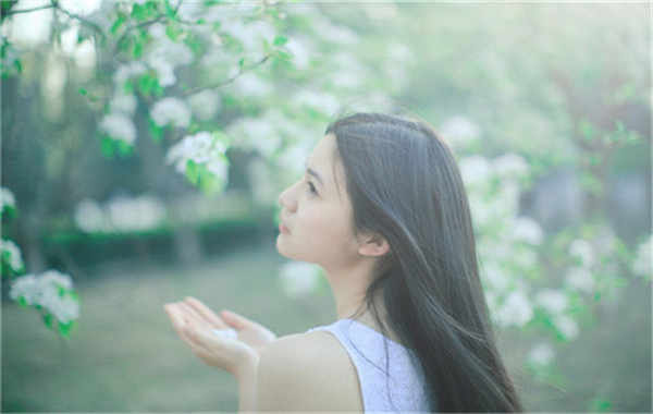 沙河验血查男女几周可以验(验血查男女结果图)